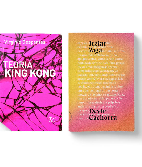 teoria king kong + devir cachorra